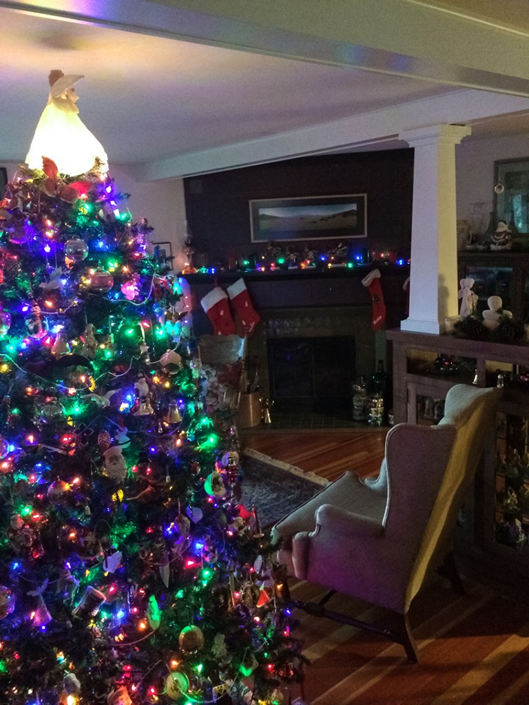 Deborah's Christmas Tree 2015